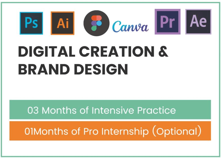 Digital Creator & Brand Design